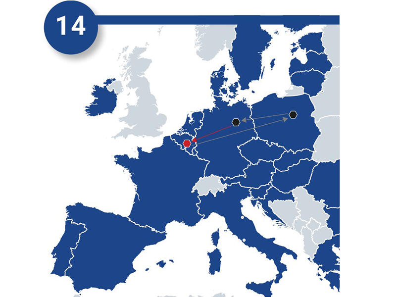 Image in Article